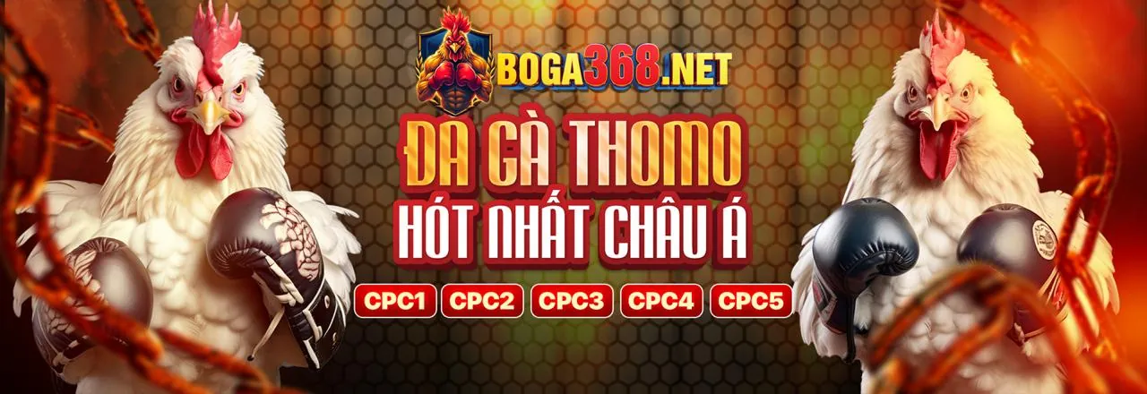 lt88 Cam kết Cờ bạc có Trách nhiệm
